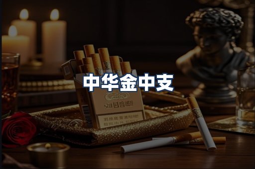 中华金中支